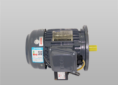 ETVF立式東元?jiǎng)x車(chē)電機(jī)